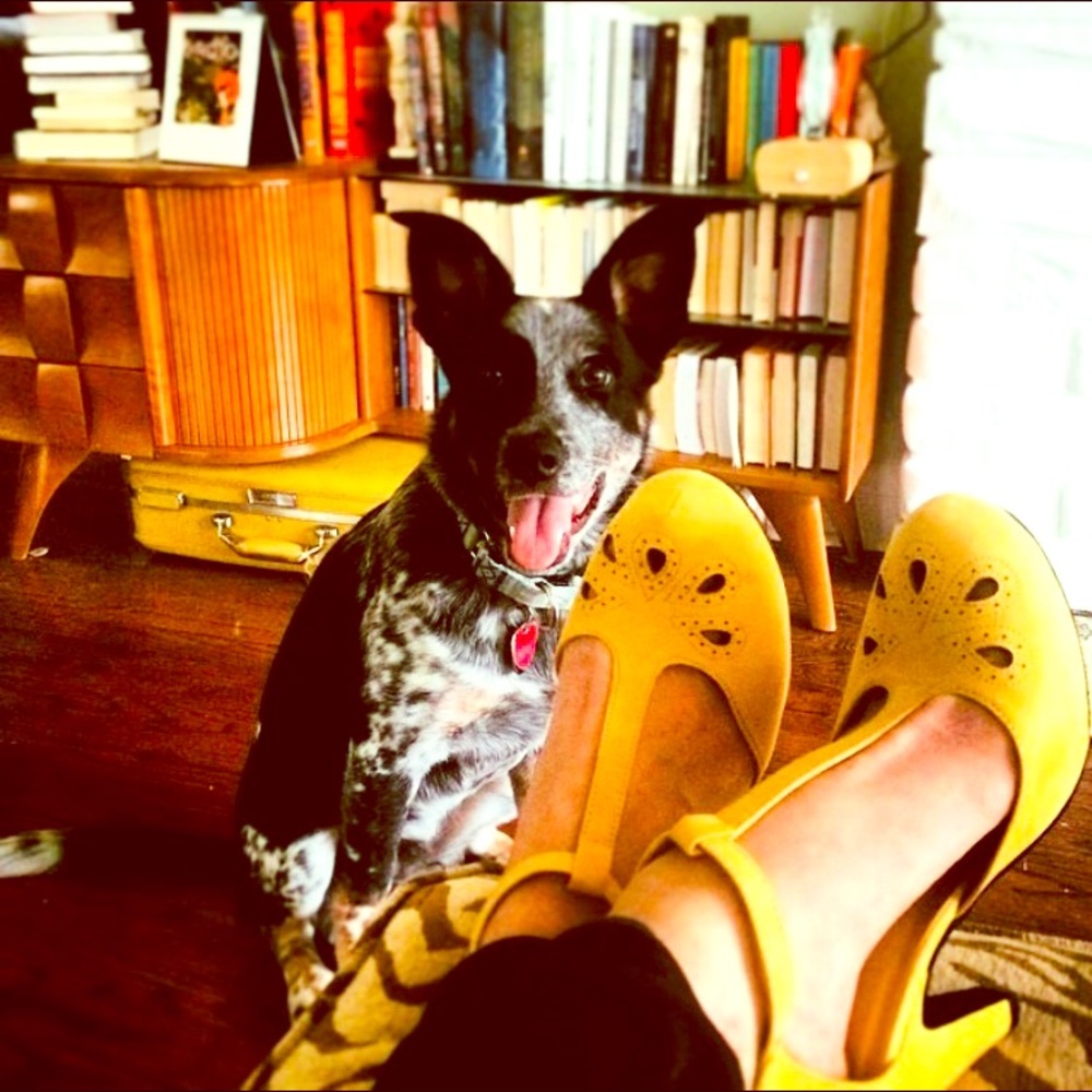 Meet your Posher, Kelley